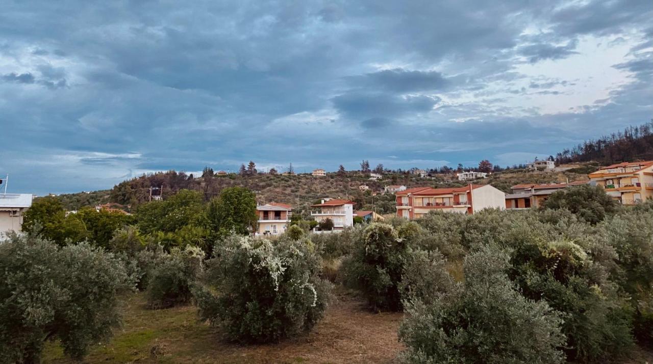 Diana Studios Pefki  Dış mekan fotoğraf